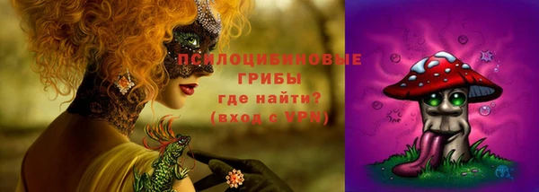 мяу мяу мука Алексин