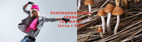 молекула духа Алзамай