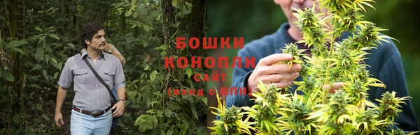 молекула духа Алзамай