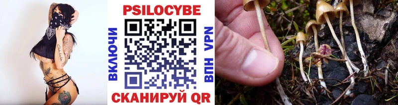 закладка  Вилючинск  Галлюциногенные грибы GOLDEN TEACHER 
